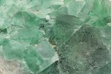 Green, Fluorescent, Cubic Fluorite Crystals - Madagascar #210471-3